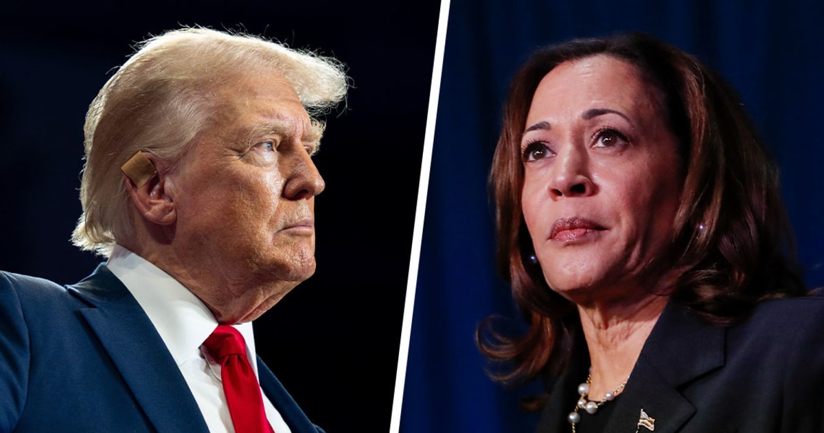 On abortion rights, Trump hands Harris, Dems a key opportunity