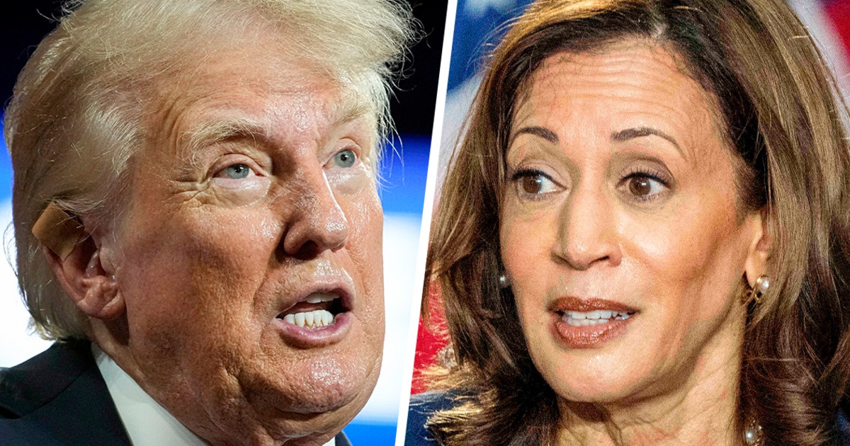 Trump’s online tantrum targets Harris with crude sexual remark