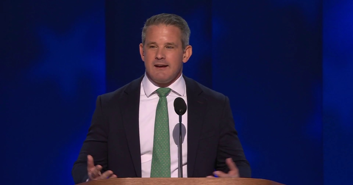 Former GOP Rep. Adam Kinzinger emphasizes importance of democracy at DNC