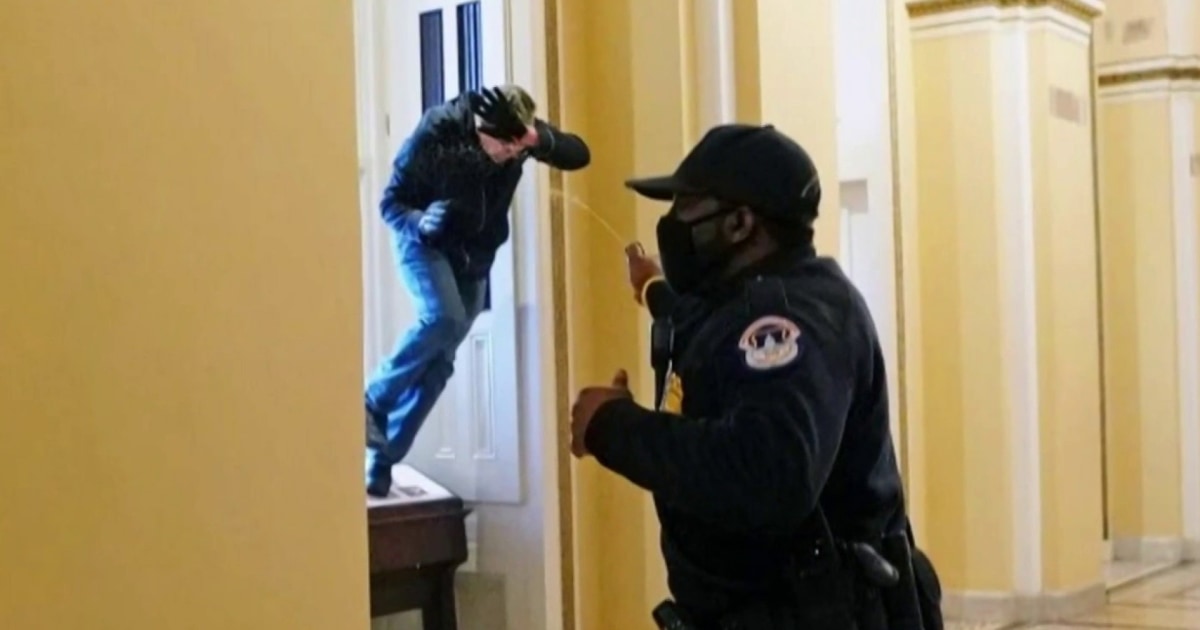 First Jan. 6 rioter to breach the Capitol sentenced to prison