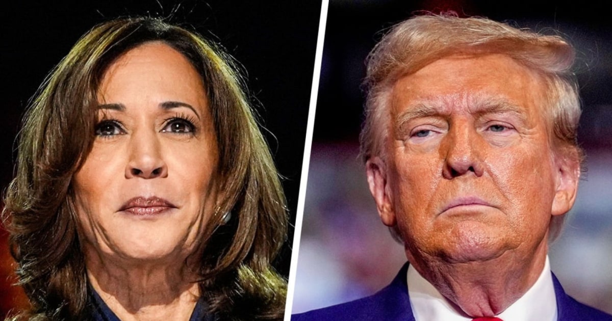 Harris brushes off Trump’s race remarks