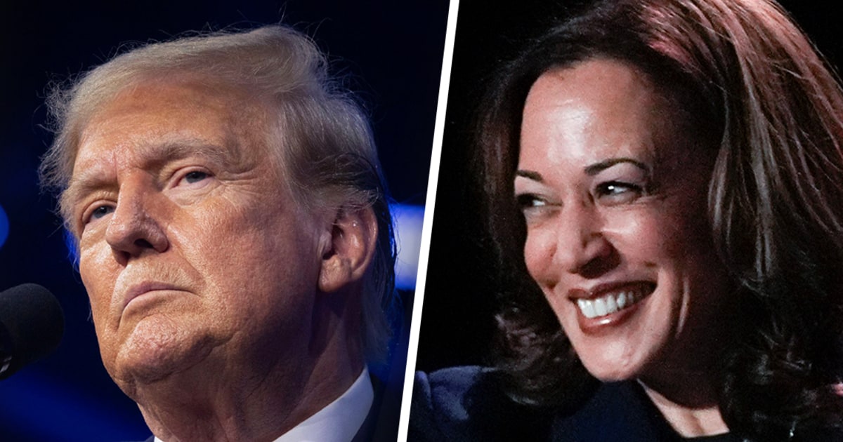 As Trump backs out of debate with Harris, what happens now?