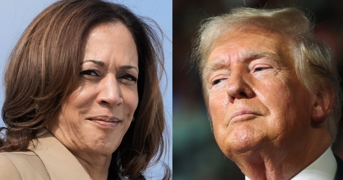 Harris’ perfect response to Trump’s debate cowardice, explained