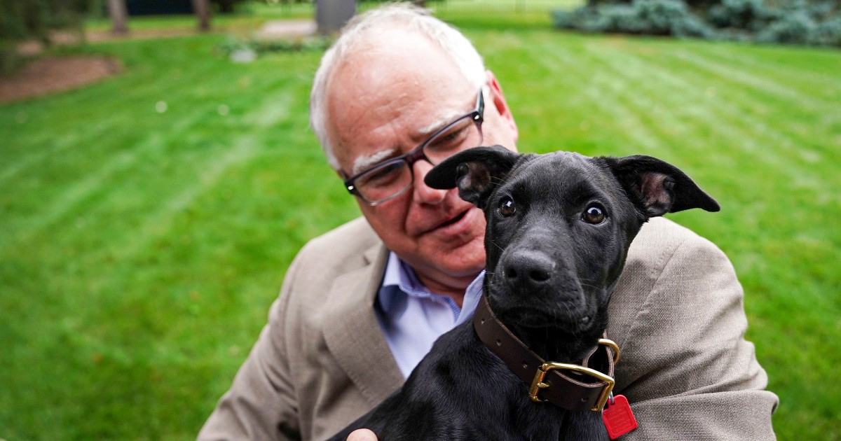 Republicans’ latest attack line against Tim Walz: His dog?