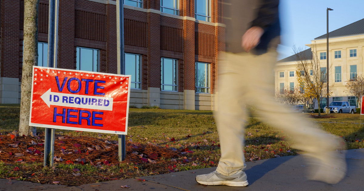 Lawsuit against Georgia Election Board seeks to ‘prevent chaos’ in November