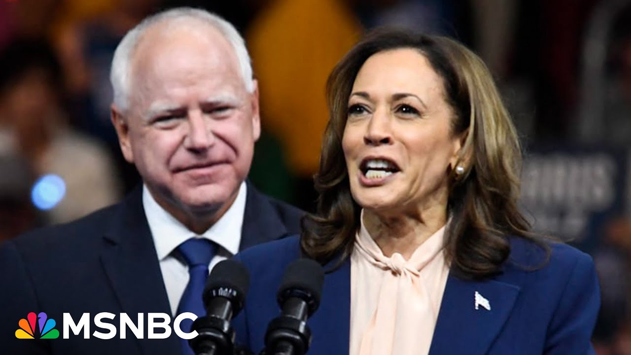 ‘She’s taking Republicans away from Trump’: Pollster reveals shocking new data for Harris