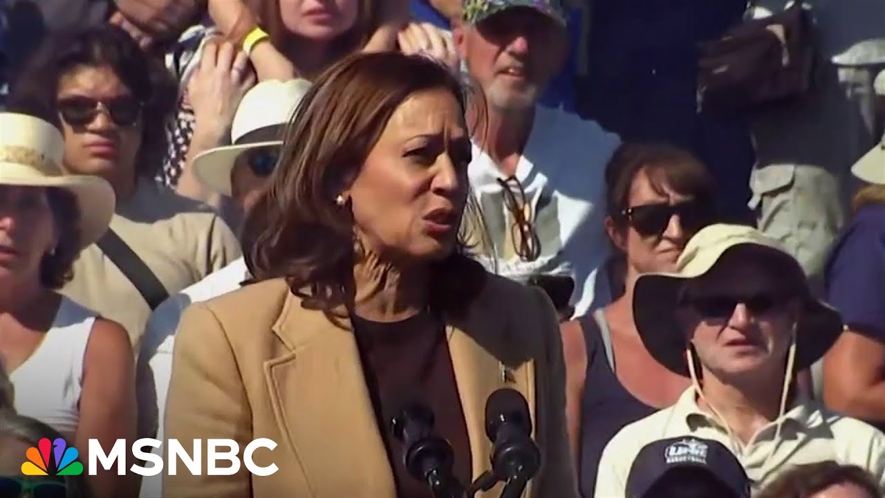 ‘It doesn’t have to be this way’: Vice President Kamala Harris reacts to school shooting in Georgia