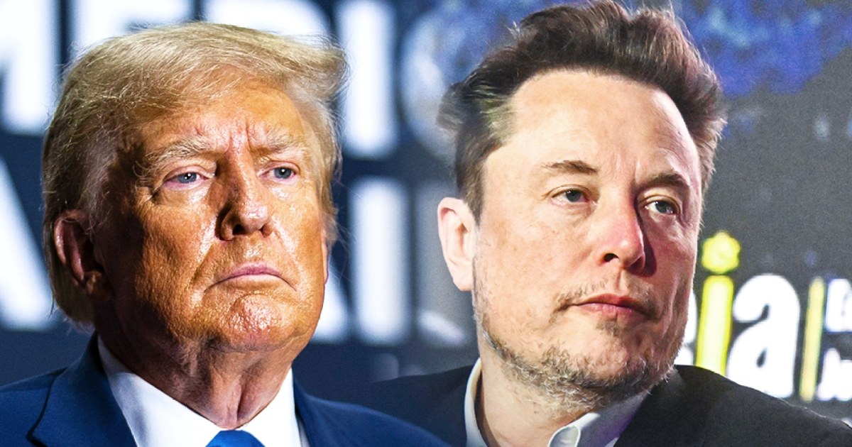 Elon Musk says he ‘can’t wait’ to work in the Trump White House