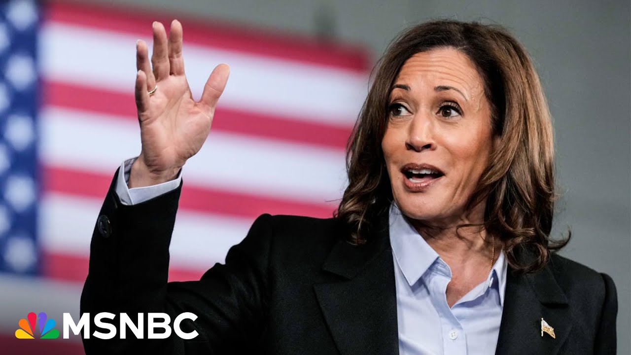 'This is a super pro-business agenda’: Kamala Harris’ economic plans for small businesses