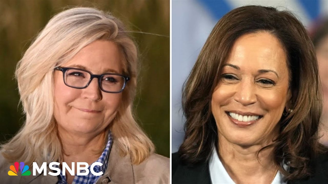 ‘Voting for character’: Former Rep. Liz Cheney endorses VP Harris