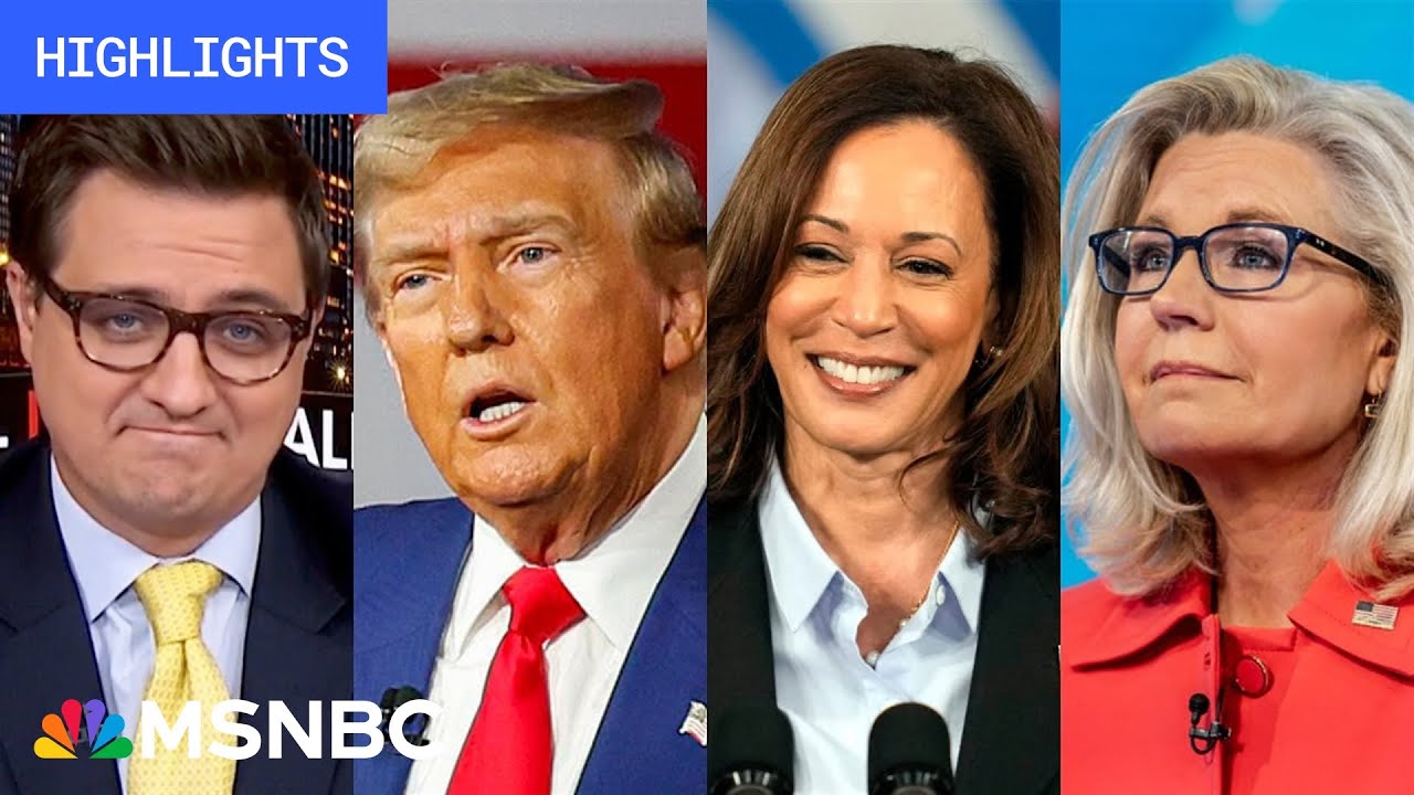 Countdown to the 2024 election: Day 60 | MSNBC Highlights