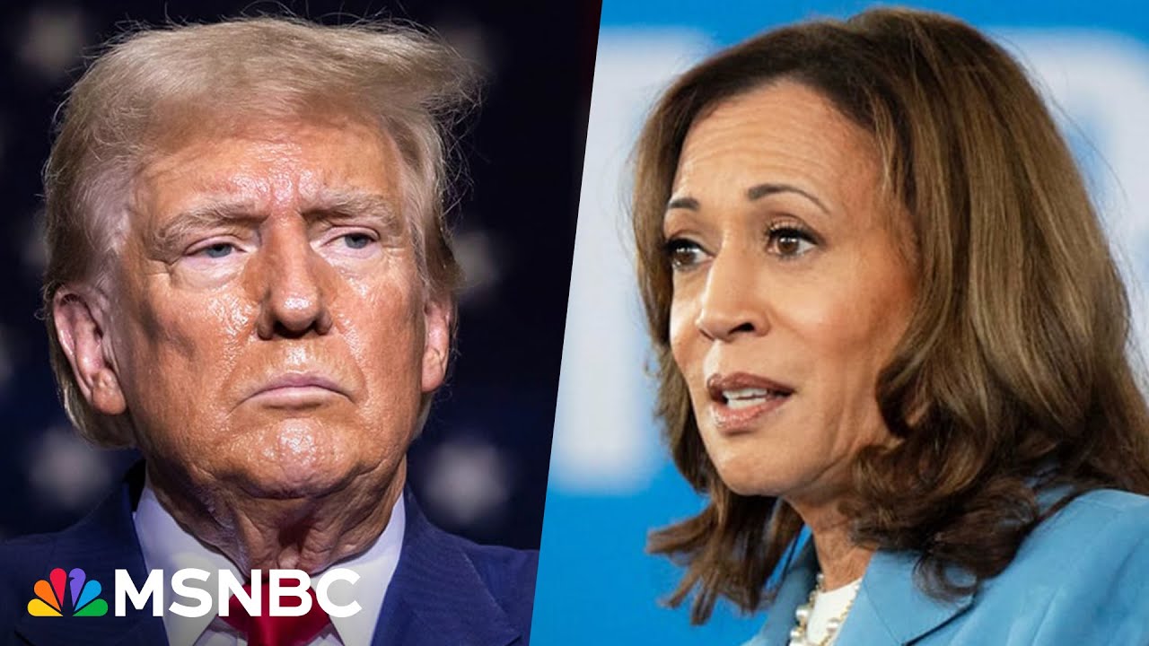 'More popular since entering the race': Why Trump is struggling against Harris