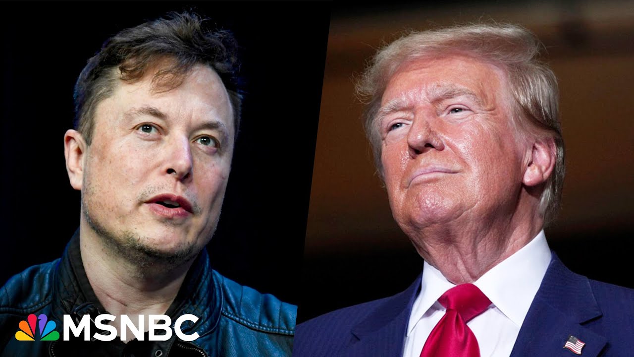 Elon Musk says he ‘can’t wait’ to work in the Trump White House