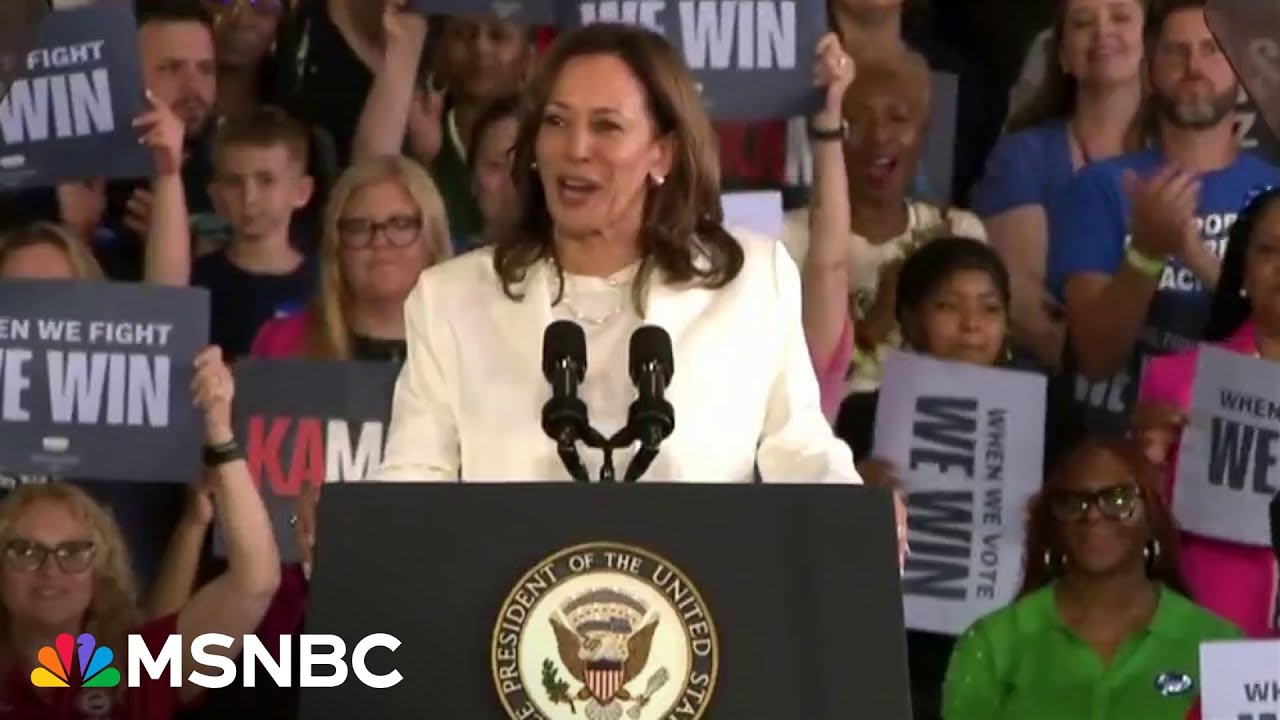 Dismiss' Trump's antics: panel discusses how Harris should deal with Trump at debate