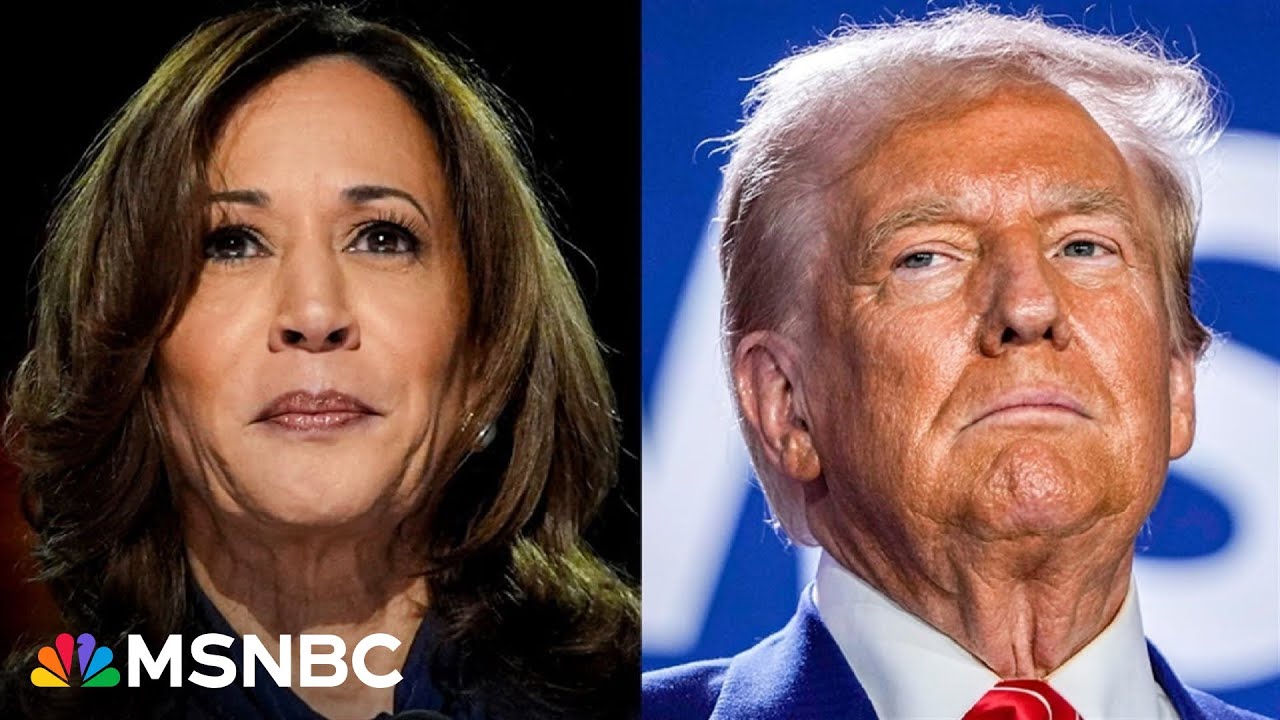 Trump's 'racism, sexism, gender misidentification' will serve Harris well: former. Rep. Edwards