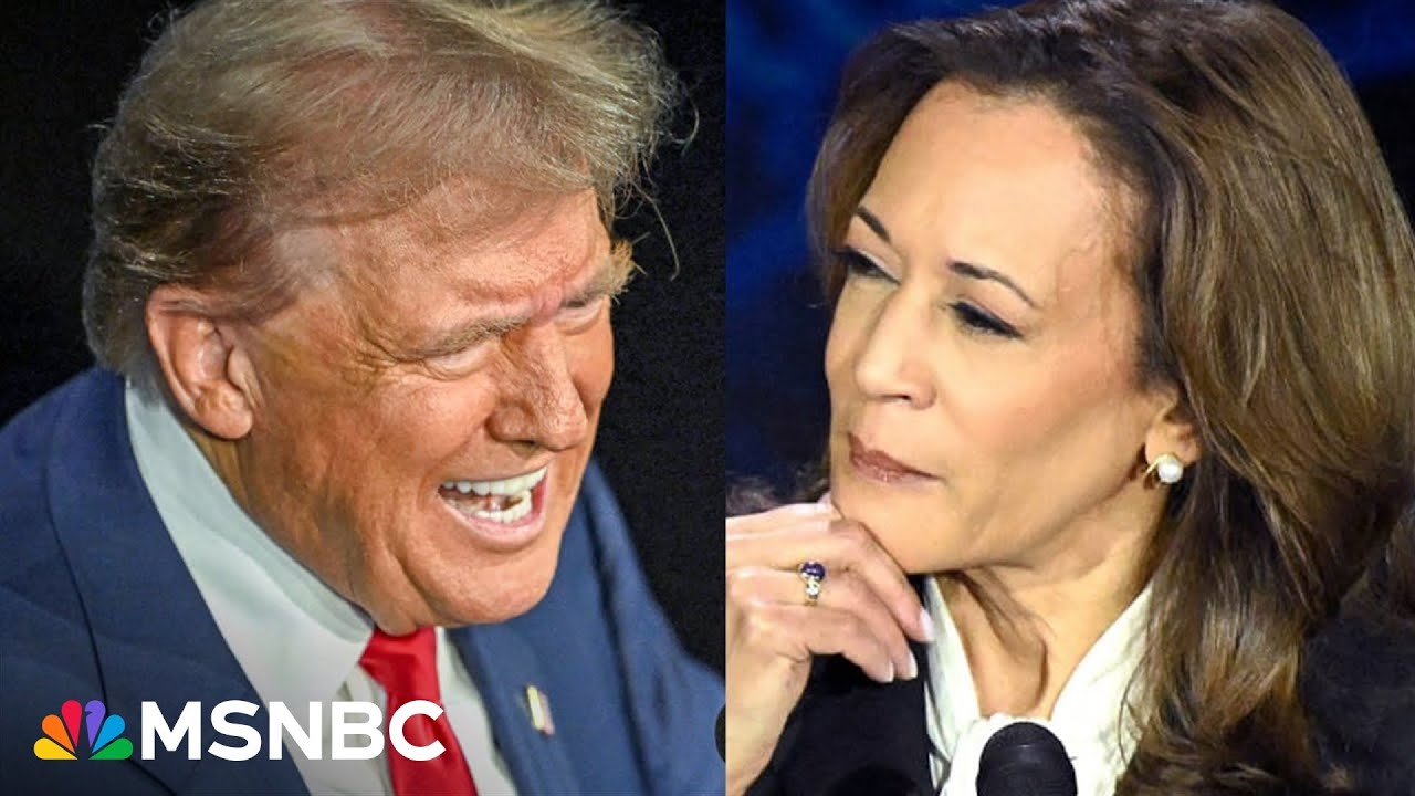 'Needle hasn't moved much' towards Harris even though it was clear Trump lost the debate