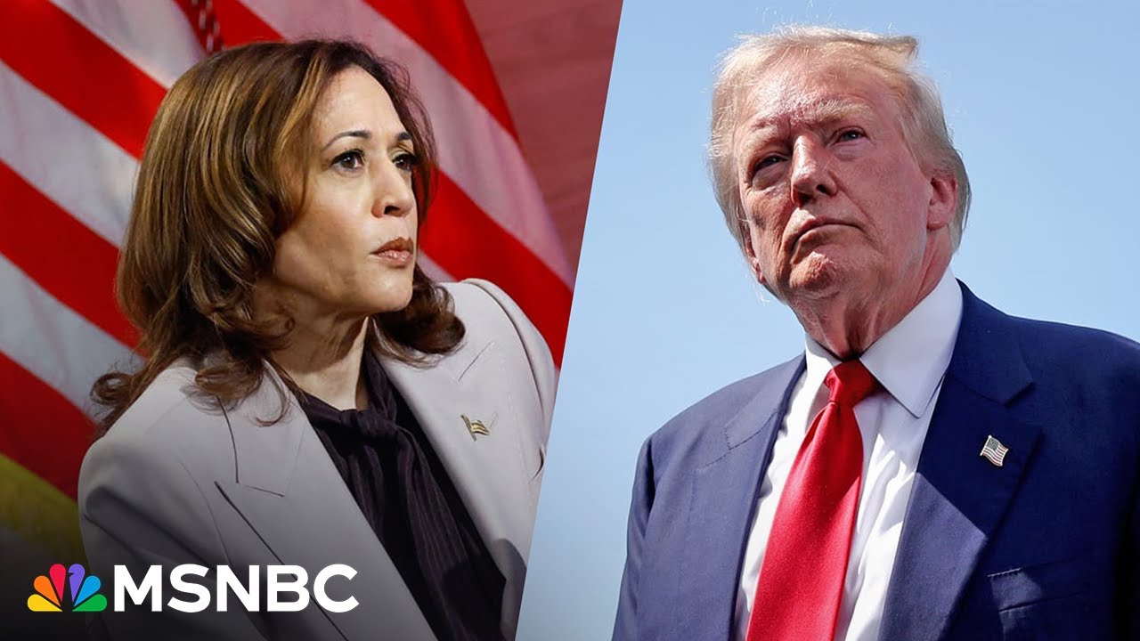 ‘A crying shame’: Harris confronts Trump on Haitian migrant rhetoric I Full NABJ interview