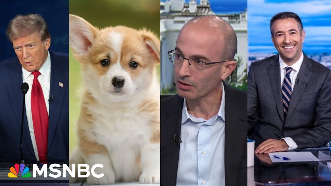 Debunking Trump’s pet-eating lunacy: A trick to hype immigration (Harari x Melber)