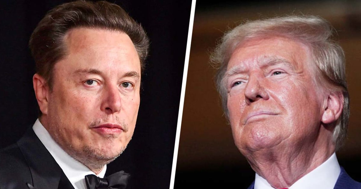 Trump announces horrifying new job for Elon Musk if elected